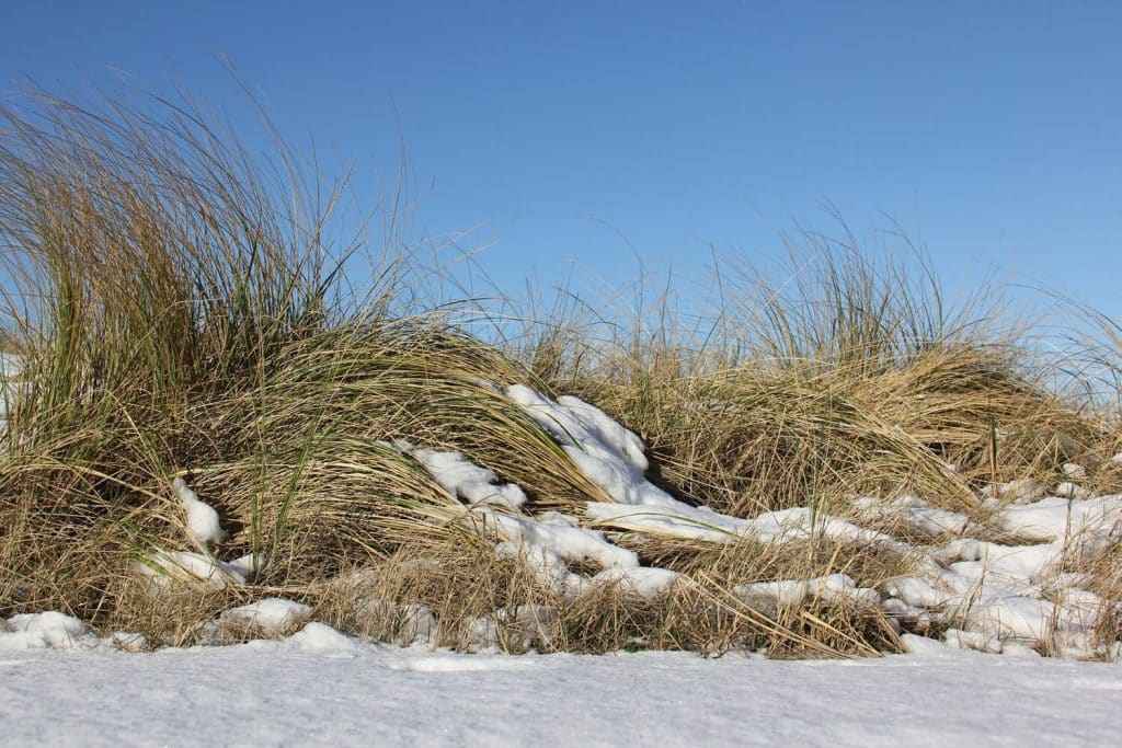 Ferienhaus Strandzauber Ostsee Winter