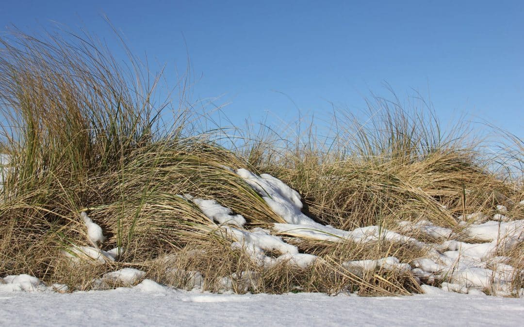 Fehmarn im Winter