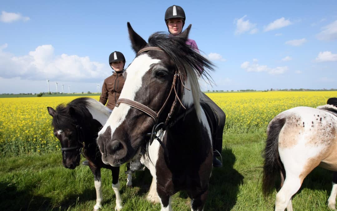 Reiten auf Fehmarn – Strandausritte & Reiterhöfe